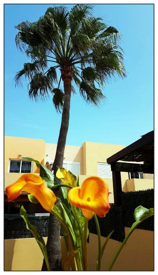 Lur De La Playa Appartement Corralejo Buitenkant foto